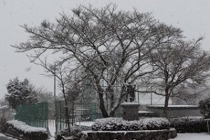 雪が降る校庭の写真
